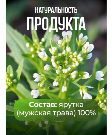 Honey and Jam Yarutka (Men's Grass) Danila Travnik 60 gr - Buy Online on GoSupps.com