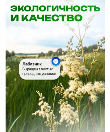 Honey and Jam Labaznik Vyazolidous grass 20 F p - Buy Online on GoSupps.com