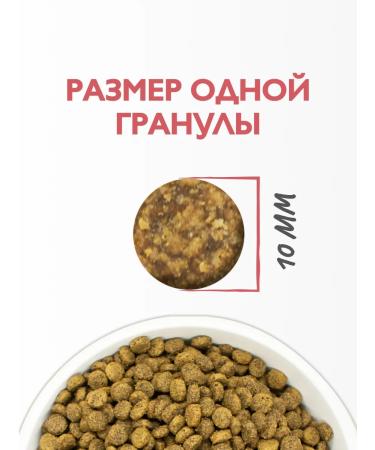 Brit Care Cat food dry 1.5 kg - Buy Online on GoSupps.com