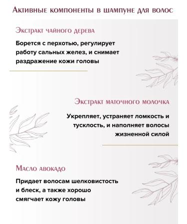 MASIL Probiotic shampoo to protect the color from itching dandruff - Buy Online on GoSupps.com