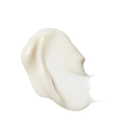 Korres Face cream with wild rose extract for dry skin 40 ml - Buy Online on GoSupps.com