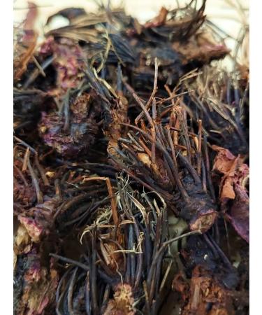 Yasaltaya Red brush (rhodiola four -membered) root 250 g - Buy Online on GoSupps.com