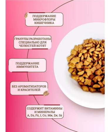 ROYAL CANIN Kitten Kanin Kanin Kitten -1.2 kg food - Buy Online on GoSupps.com