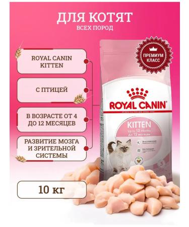 ROYAL CANIN Kitten Kanin Kanin Kanin - 10 kg