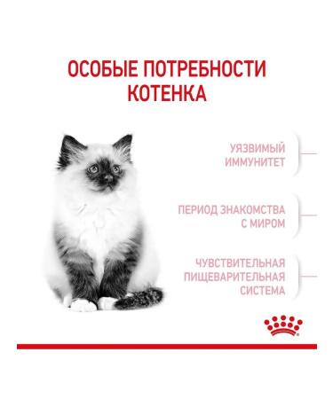 ROYAL CANIN Kitten Kanin Kanin Kanin - 10 kg - Buy Online on GoSupps.com