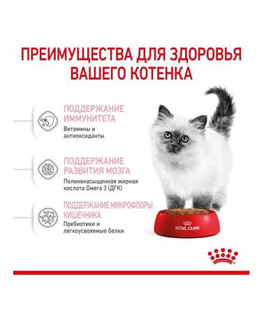ROYAL CANIN Kitten Kanin Kanin Kanin - 10 kg - Buy Online on GoSupps.com