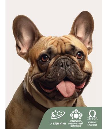 Zoogourman Dry food for medium dogs beef 1.2 kg - Buy Online on GoSupps.com