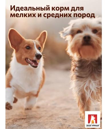 Zoogourman Dry food for medium dogs beef 1.2 kg - Buy Online on GoSupps.com