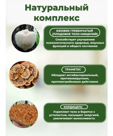 ISaC Nutrition Ezhovik cresteut mycelium cordyceps trames ground 500 grams - Buy Online on GoSupps.com