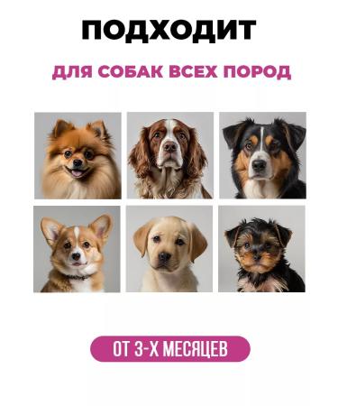 Spets Shampoo for long -haired dogs York Spitz from smell 1l - Buy Online on GoSupps.com