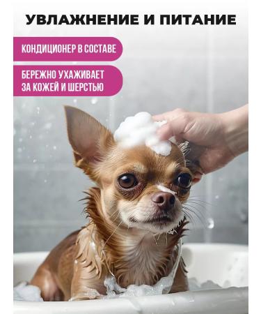 Spets Hypoallergenic dog shampoo for short wool 1l - Buy Online on GoSupps.com