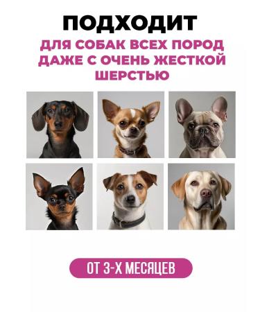 Spets Hypoallergenic dog shampoo for short wool 1l - Buy Online on GoSupps.com