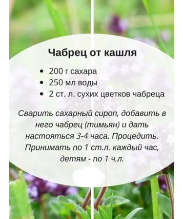 Tree of Love Thyme - Buy Online on GoSupps.com