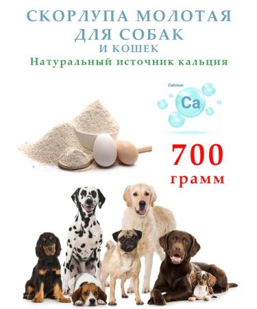 FAVORITES Ground shell for dogs