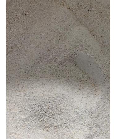 FAVORITES Ground shell for dogs - Buy Online on GoSupps.com