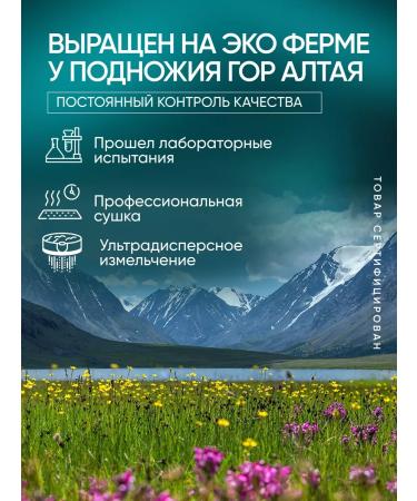 Altai ECO Ezhovik Channel Mycelium Capsules 180 pieces of 500 mg - Buy Online on GoSupps.com