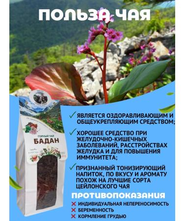 Danila Travnik Badan Mountain Tea Altai Tonizing - Buy Online on GoSupps.com