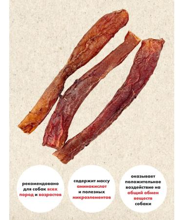 GRIZGO Beef aorta XL - Buy Online on GoSupps.com