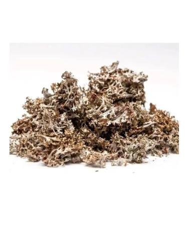 Heritage of Nature Icelandic moss chopped 20 filter packages - Buy Online on GoSupps.com