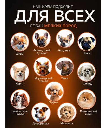 BUDDY DINNER Dry food for dogs with beef 900 g - Buy Online on GoSupps.com