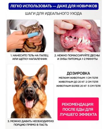 Orozyme gel Toothpaste for dogs and cats - Buy Online on GoSupps.com