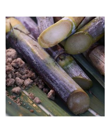 SHISEIDO Mask-scrub for deep purification of pores 80 ml - Buy Online on GoSupps.com