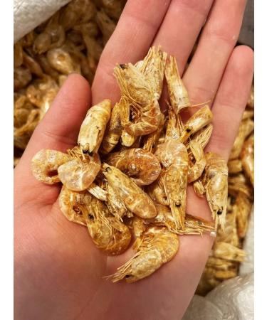 Super ZOO Shrimp for turtles of red -eared reptiles of large fish cats1l1l - Buy Online on GoSupps.com