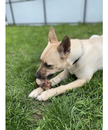 Happy Nomads Big bone for beef dogs - Buy Online on GoSupps.com