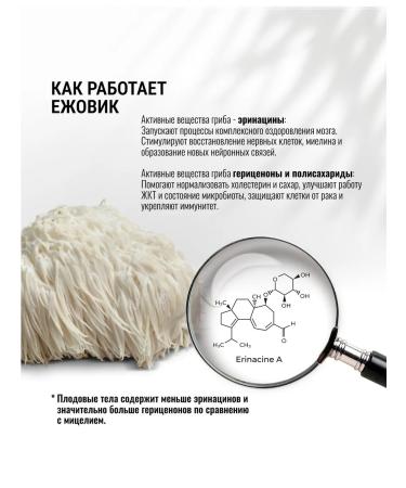 Amazonica Ezhovik Combed powder of fruit bodies Lions Mane - Buy Online on GoSupps.com