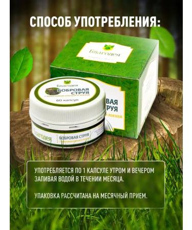 Blagodeya Beaver stream with a penny of red and levzei - Buy Online on GoSupps.com