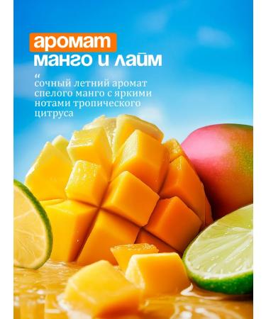 GRASS Liquid hand soap milana mango and lime and Fruit Bubblies - Buy Online on GoSupps.com