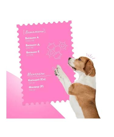 Best dinner Feed for any dogs Holistic veal 12pcs x 100g - Buy Online on GoSupps.com