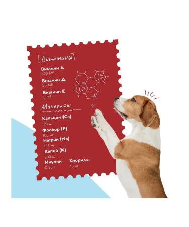 Best dinner Gastr Intestinal food for dogs horseman 12pcs x 100g - Buy Online on GoSupps.com