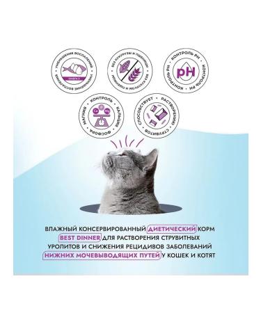 Best dinner Cat food for ICD chicken with a veal 12pc x 100g - Buy Online on GoSupps.com