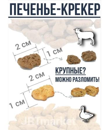 Titbit Dog treat for dogs Cracker 2B1 - Buy Online on GoSupps.com