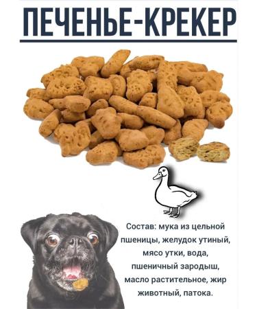 Titbit Dog treat for dogs Cracker 2B1 - Buy Online on GoSupps.com