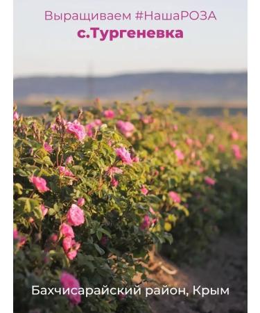 AF Turgenevskaya Crimean roses 700 ml - Buy Online on GoSupps.com