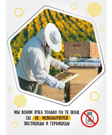 Honey of the Mamdeev family Diaghiley honey gift set pp healthy lifestyle - Buy Online on GoSupps.com