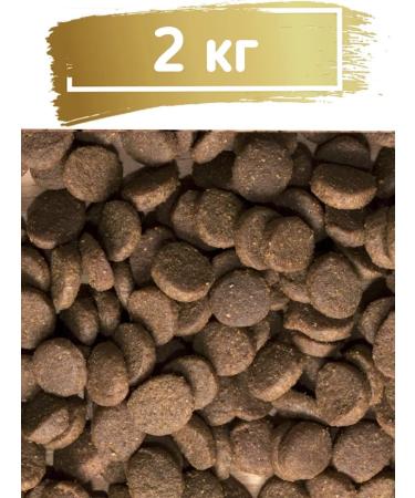 ProBalance Dry food for dogs with beef Adult Immuno 2 kg - Buy Online on GoSupps.com