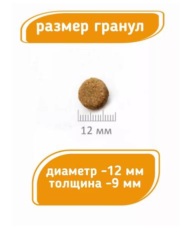 ProBalance Dry food for dogs with beef Adult Immuno 2 kg - Buy Online on GoSupps.com