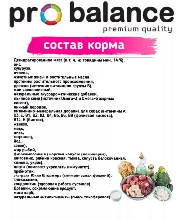 ProBalance Dry food for dogs with beef Adult Immuno 2 kg - Buy Online on GoSupps.com
