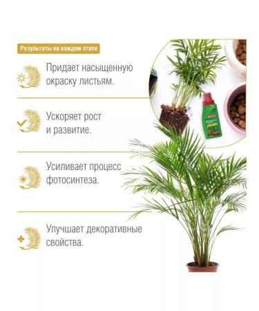 Bona Forte Liquid fertilizer beauty for ficus and palm trees 285ml - Buy Online on GoSupps.com