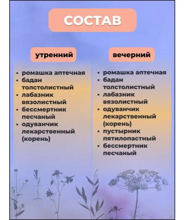 Phytosbor in Alfit-25 Briquettes Antioxidant - Buy Online on GoSupps.com