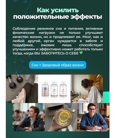 MycoFarm Fungi Ezhovik of the comb mice (Lions Mane) 100 grams - Buy Online on GoSupps.com