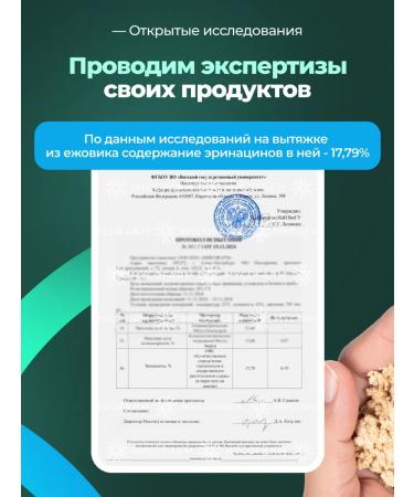 MycoFarm Fungi Ezhovik of the comb mice (Lions Mane) 300 grams - Buy Online on GoSupps.com