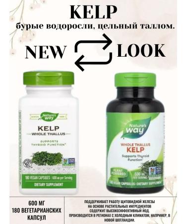 Nature's Way Kelp iodine 600 mg 180 Kelp capsules