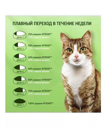 Kitekat Dry food for cats appetizing veal 1.9kg - Buy Online on GoSupps.com