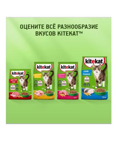Kitekat Dry food for cats appetizing veal 1.9kg - Buy Online on GoSupps.com
