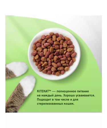 Kitekat Dry food for cats appetizing veal 1.9kg - Buy Online on GoSupps.com