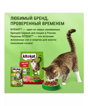 Kitekat Cat food for dry meat feast 4pcs 350g - Buy Online on GoSupps.com
